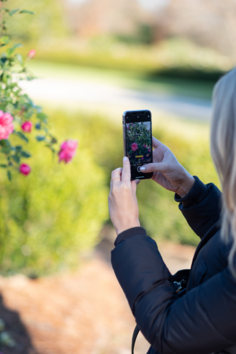 The Influence of Social Media on Travel Choices (image credits: stocksnap)
