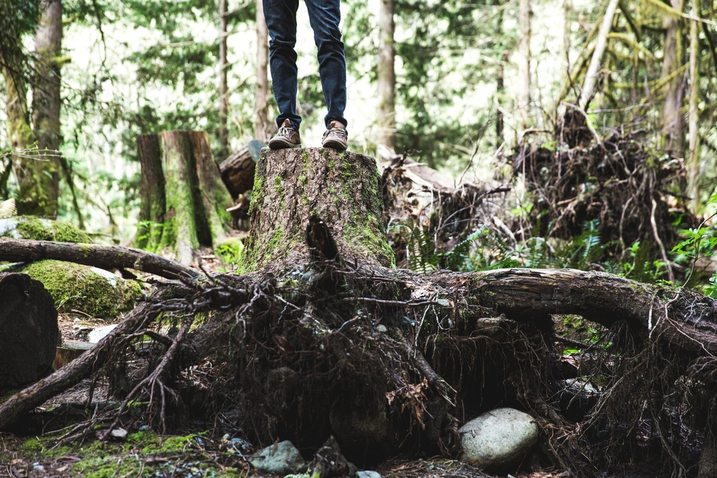 Challenges to the Pura Vida Lifestyle (image credits: rawpixel)