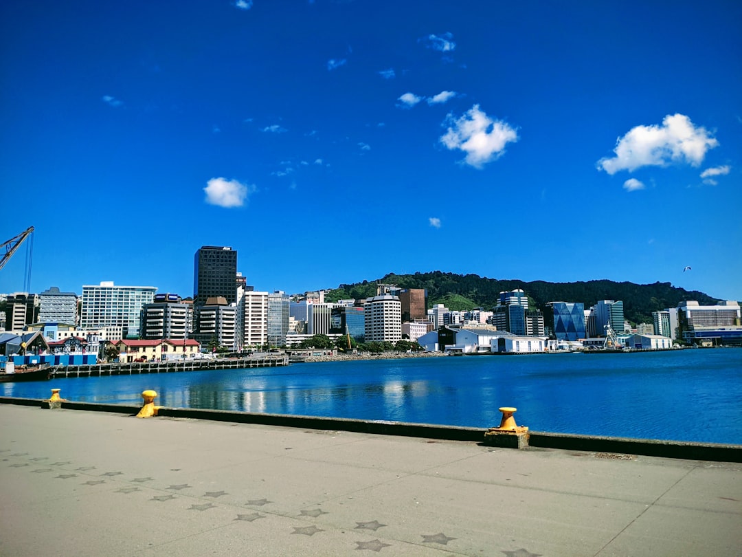 Wellington, New Zealand (image credits: unsplash)