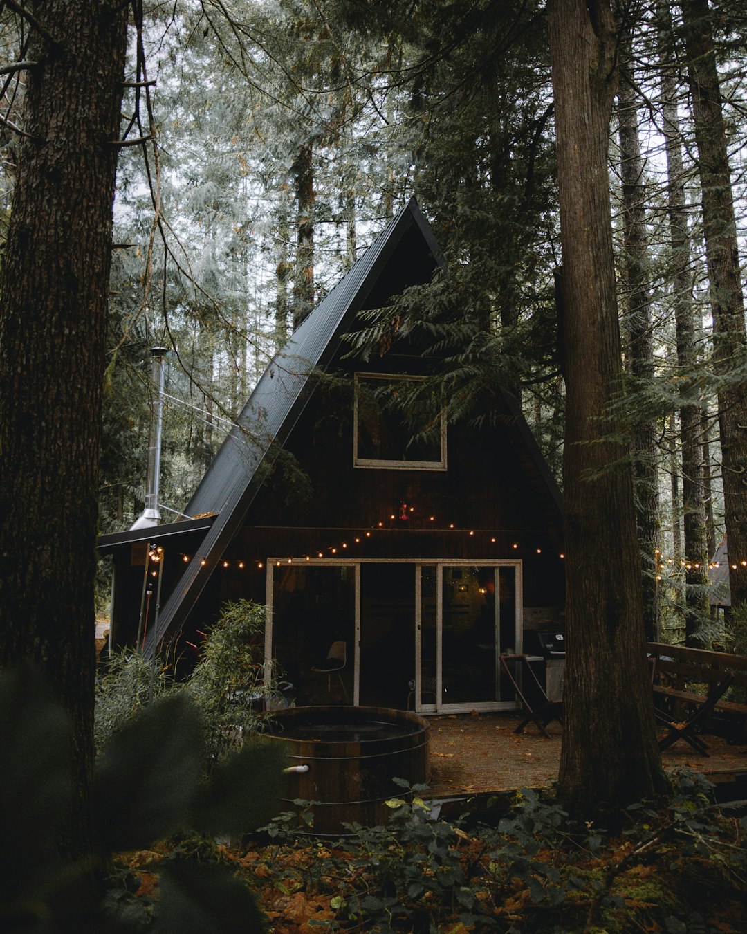 7. State Park Cabins: Affordable Overnight Nature Retreats (image credits: unsplash)