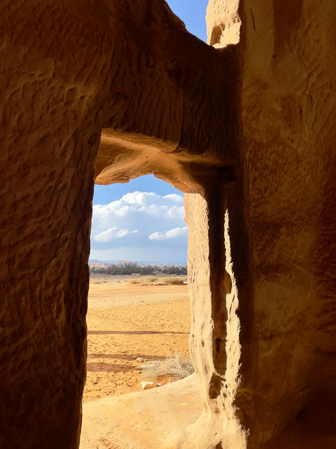 Nature’s Wonders: The Oasis, Rock Formations, and Wildlife (image credits: unsplash)