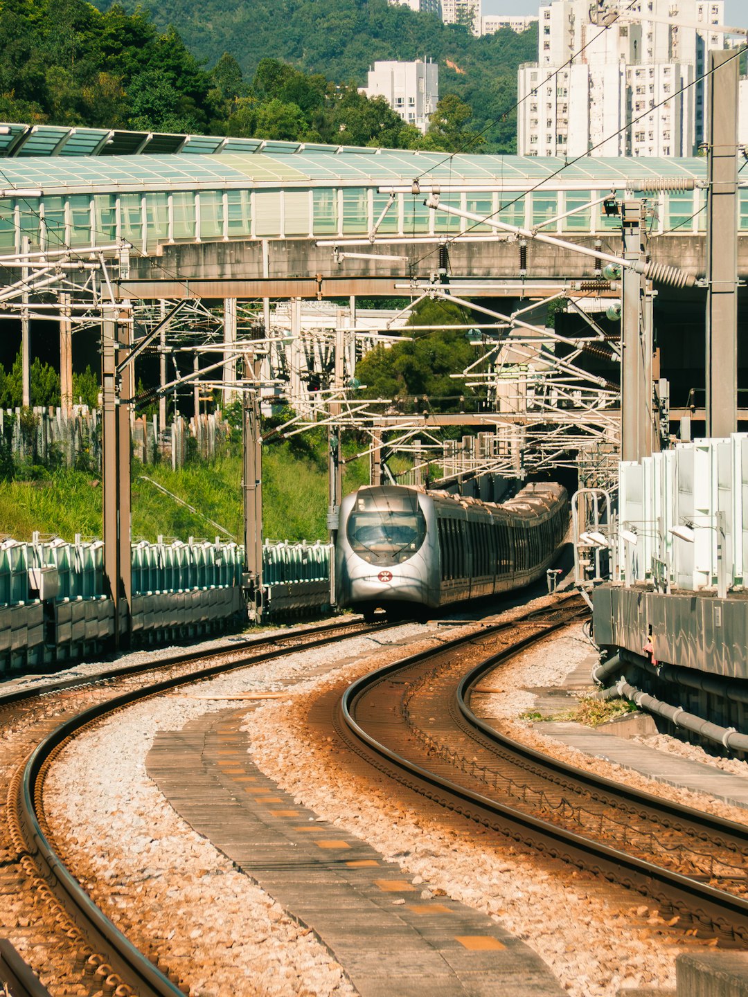 USA’s Coast Starlight (image credits: unsplash)