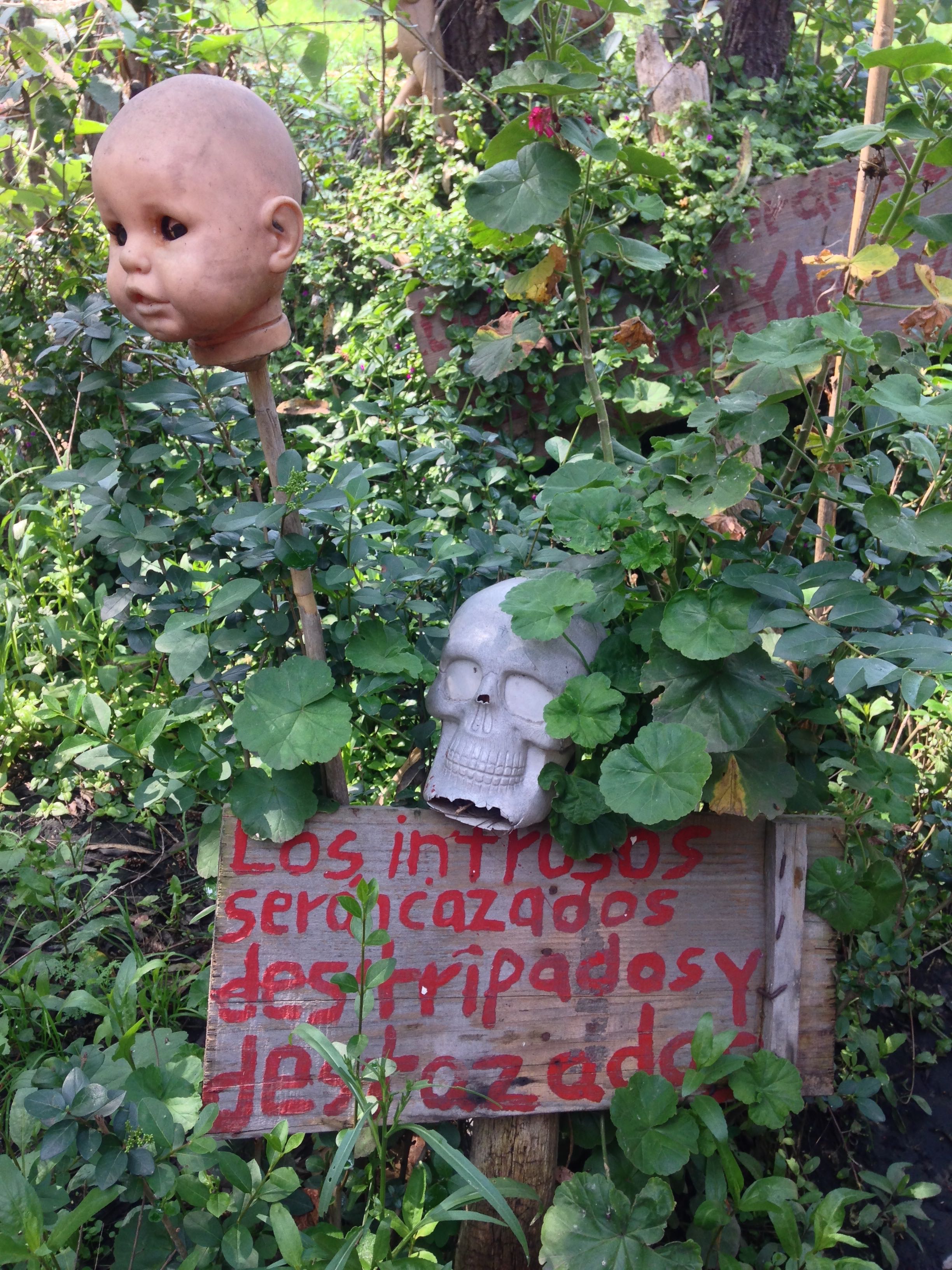 Isla de las Muñecas (Mexico) – A Haunted Island Over Abandoned Graves (image credits: wikimedia)