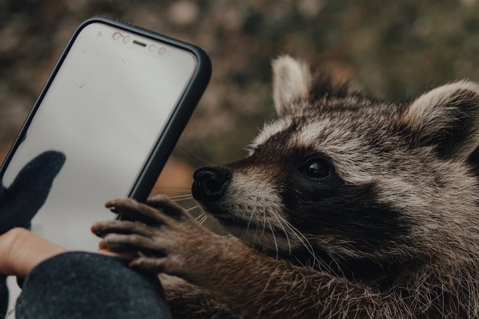 The Role of Technology in Wildlife Tourism