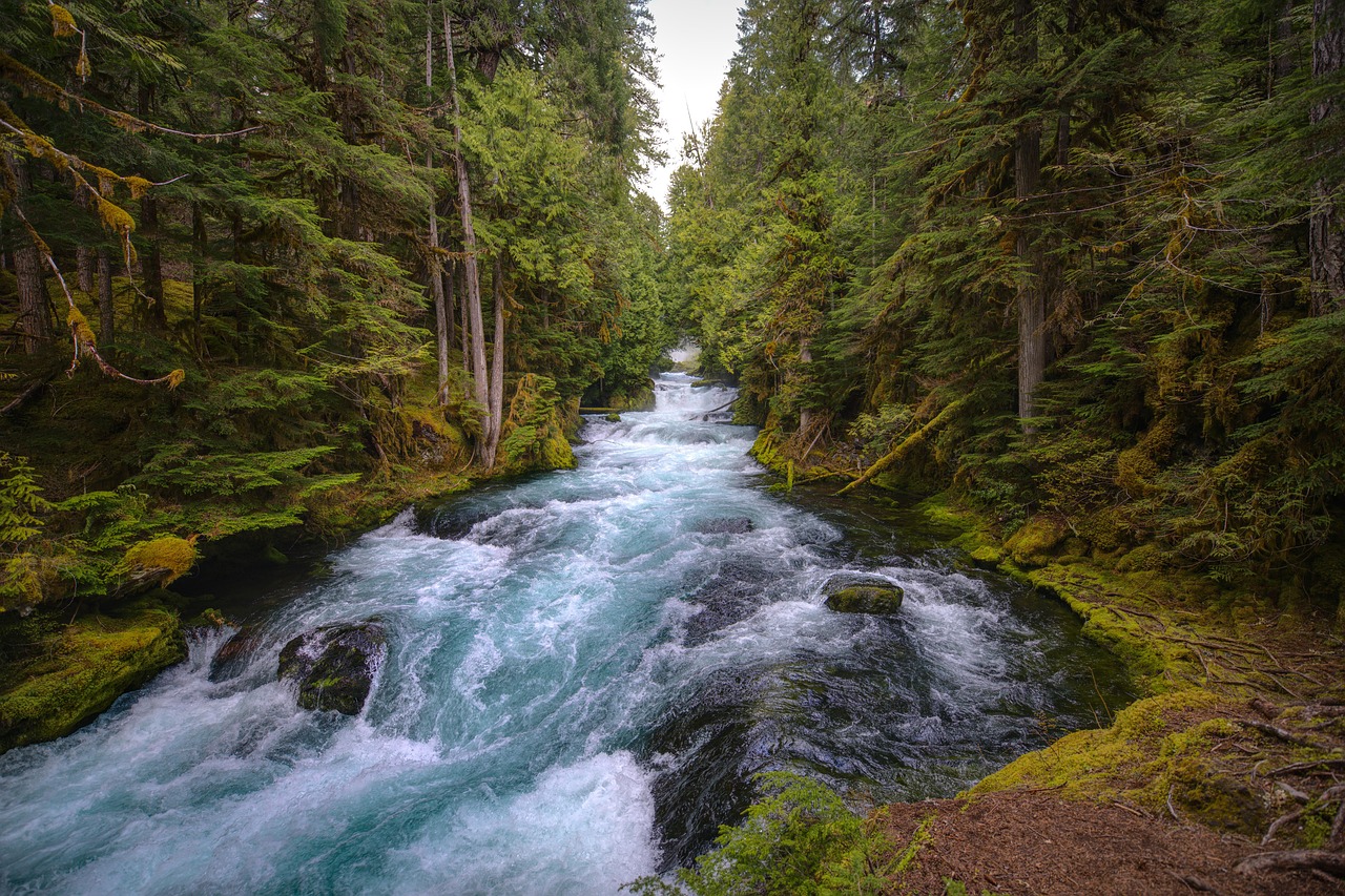 Oregon: When the Rain Makes You Sleepy (image credits: pixabay)
