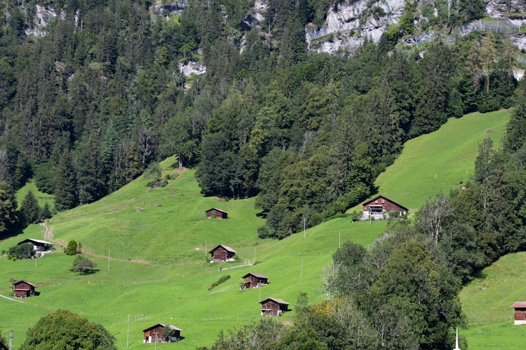 Switzerland: Alpine Perfection Meets Green Innovation (image credits: unsplash)