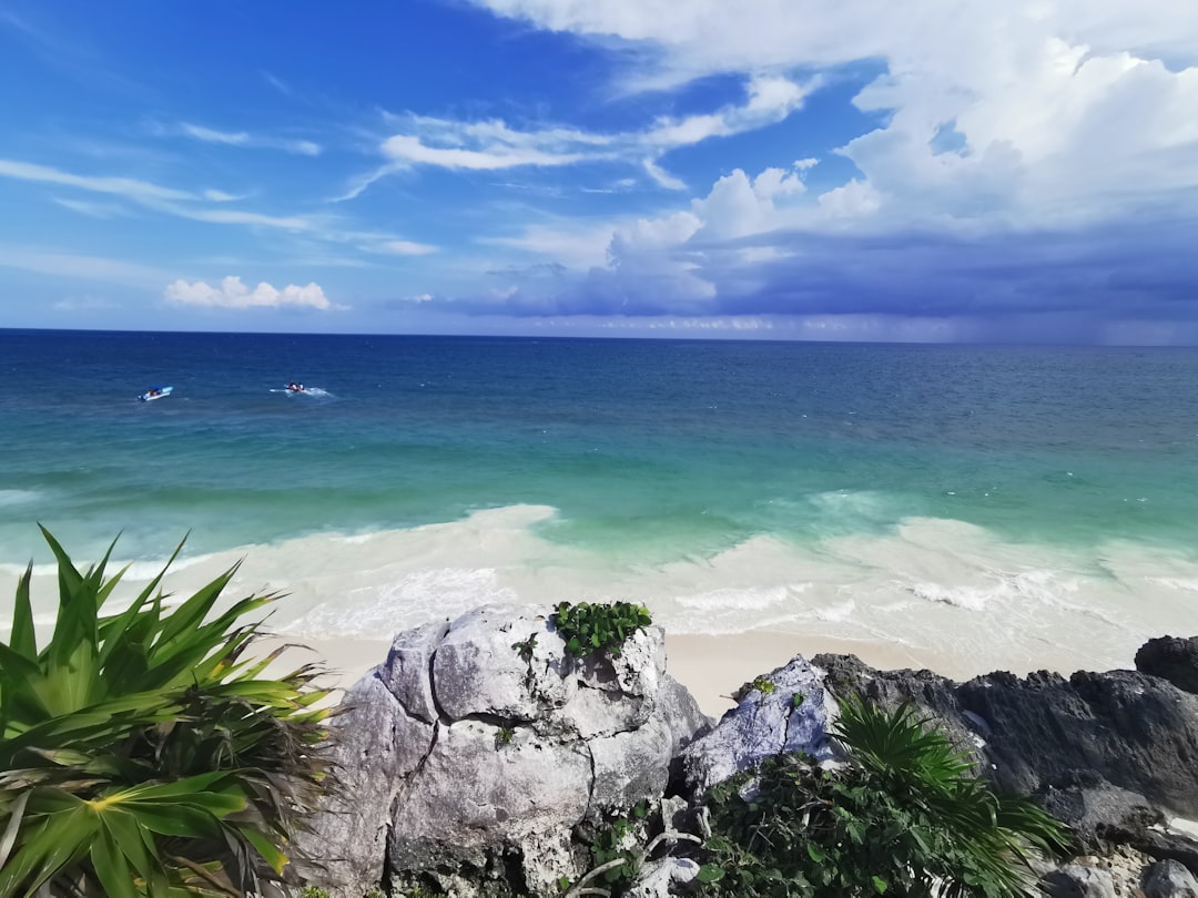 Environmental Concerns and Overdevelopment (image credits: unsplash)