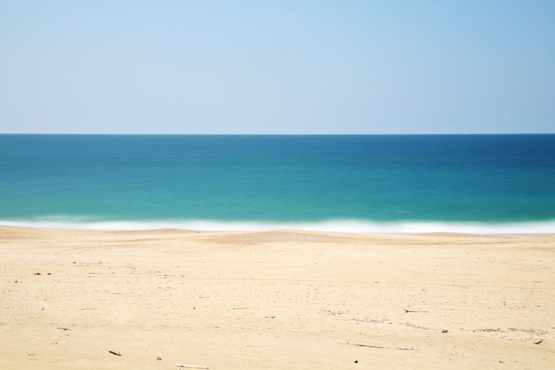 Timing Is Everything Here (image credits: unsplash)