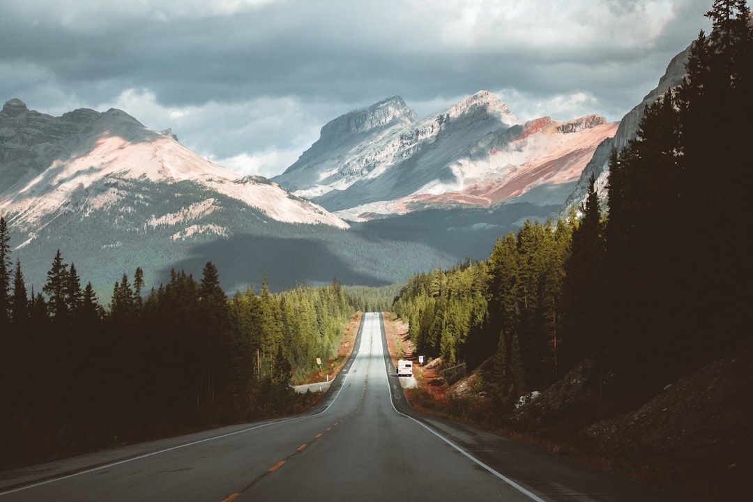 The Icefields Parkway, Canada (image credits: unsplash)
