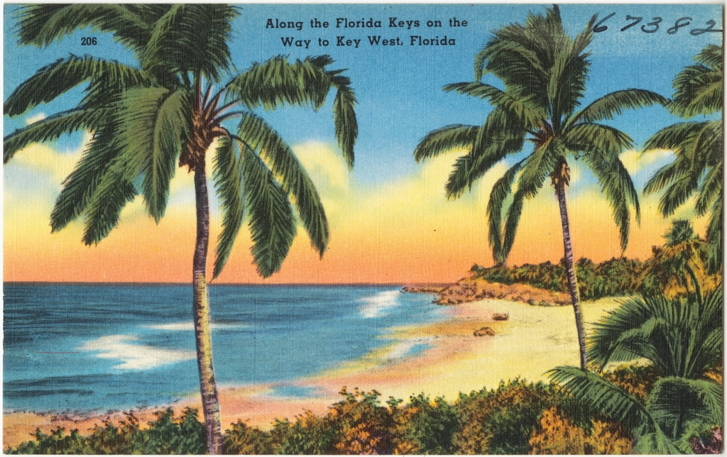 The Florida Keys: Tropical Sci-Fi Paradise (image credits: rawpixel)