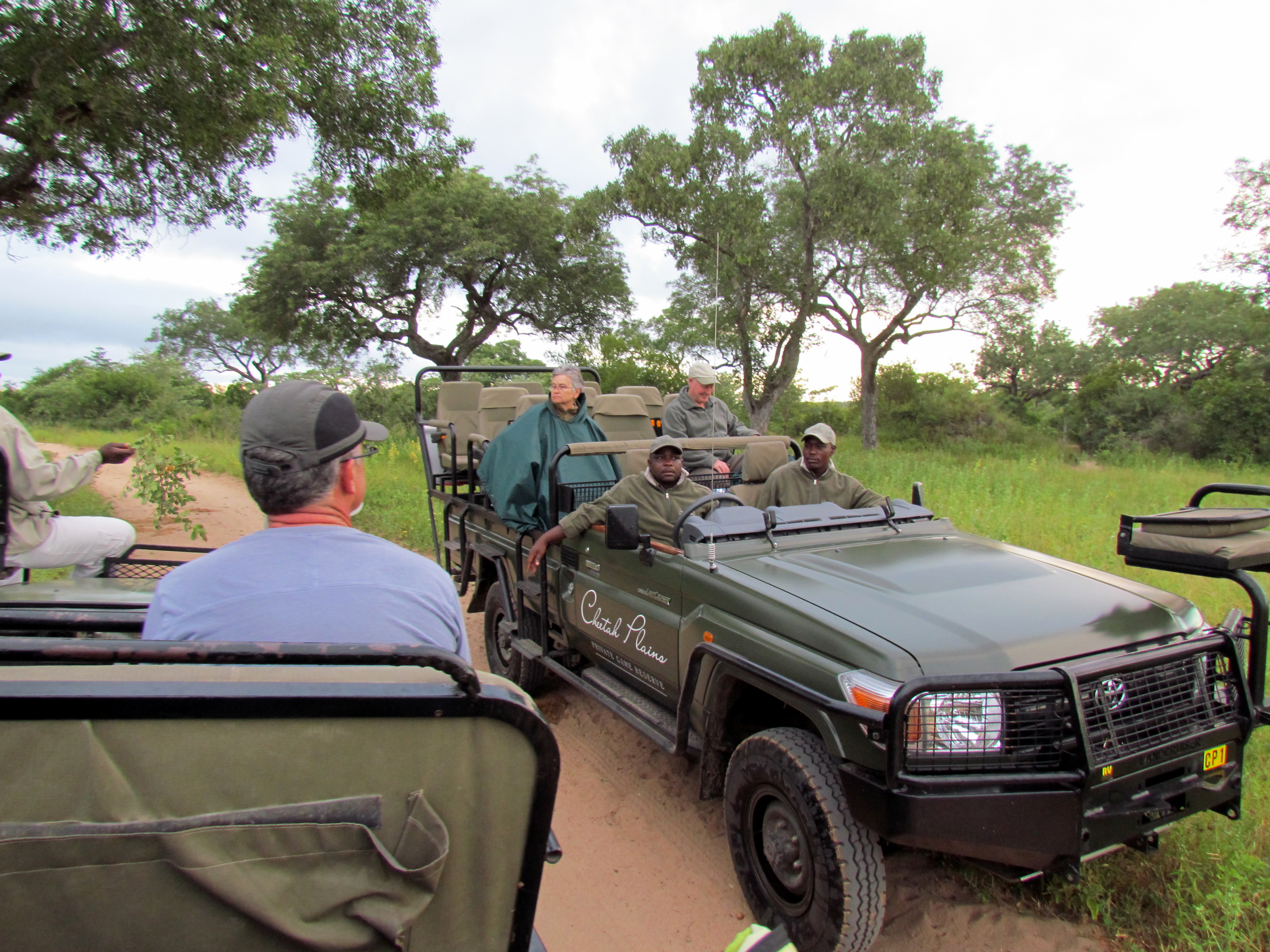 South Africa Protecting Wildlife and Visitors (image credits: wikimedia)