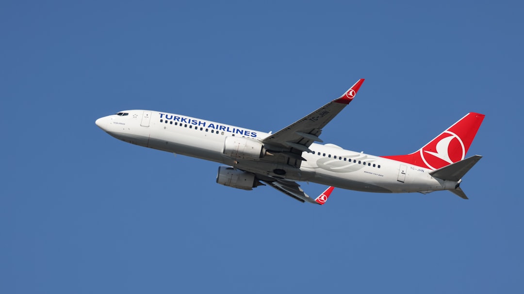 Impact on Airlines and Travel Companies (image credits: unsplash)