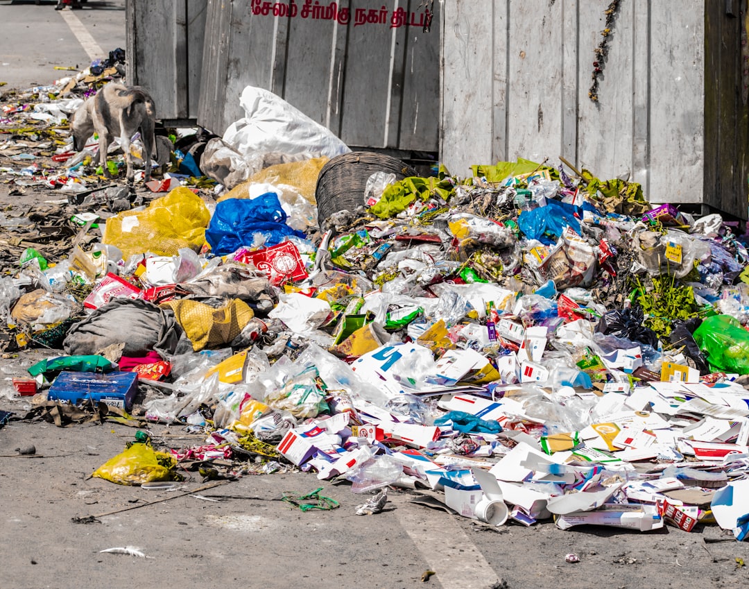 India: Overwhelmed by Waste (image credits: unsplash)
