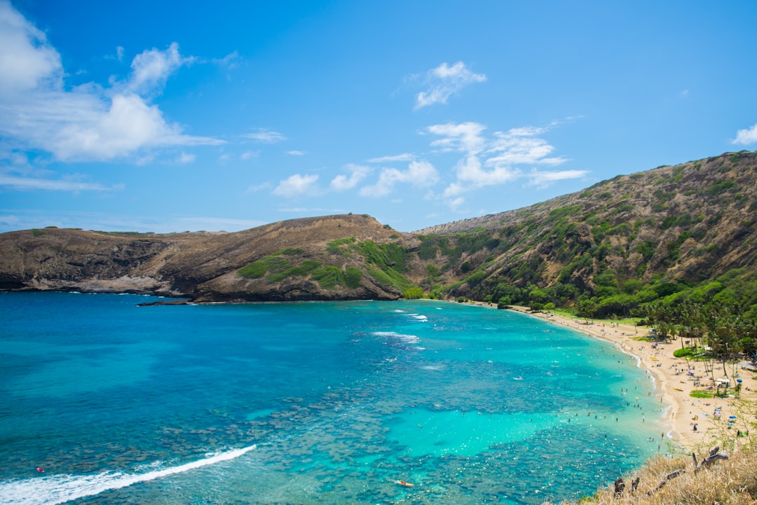 Travel Restrictions and Regulations (image credits: unsplash)