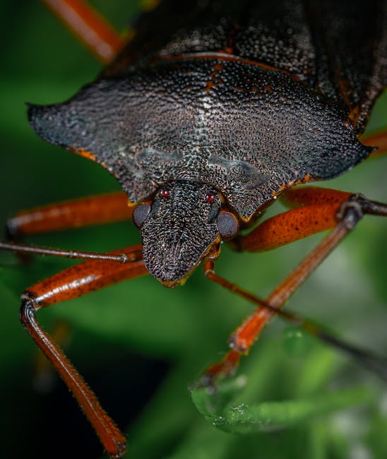 7. Stink Bugs: The Smelly Shield-Shaped Invaders (image credits: pexels)