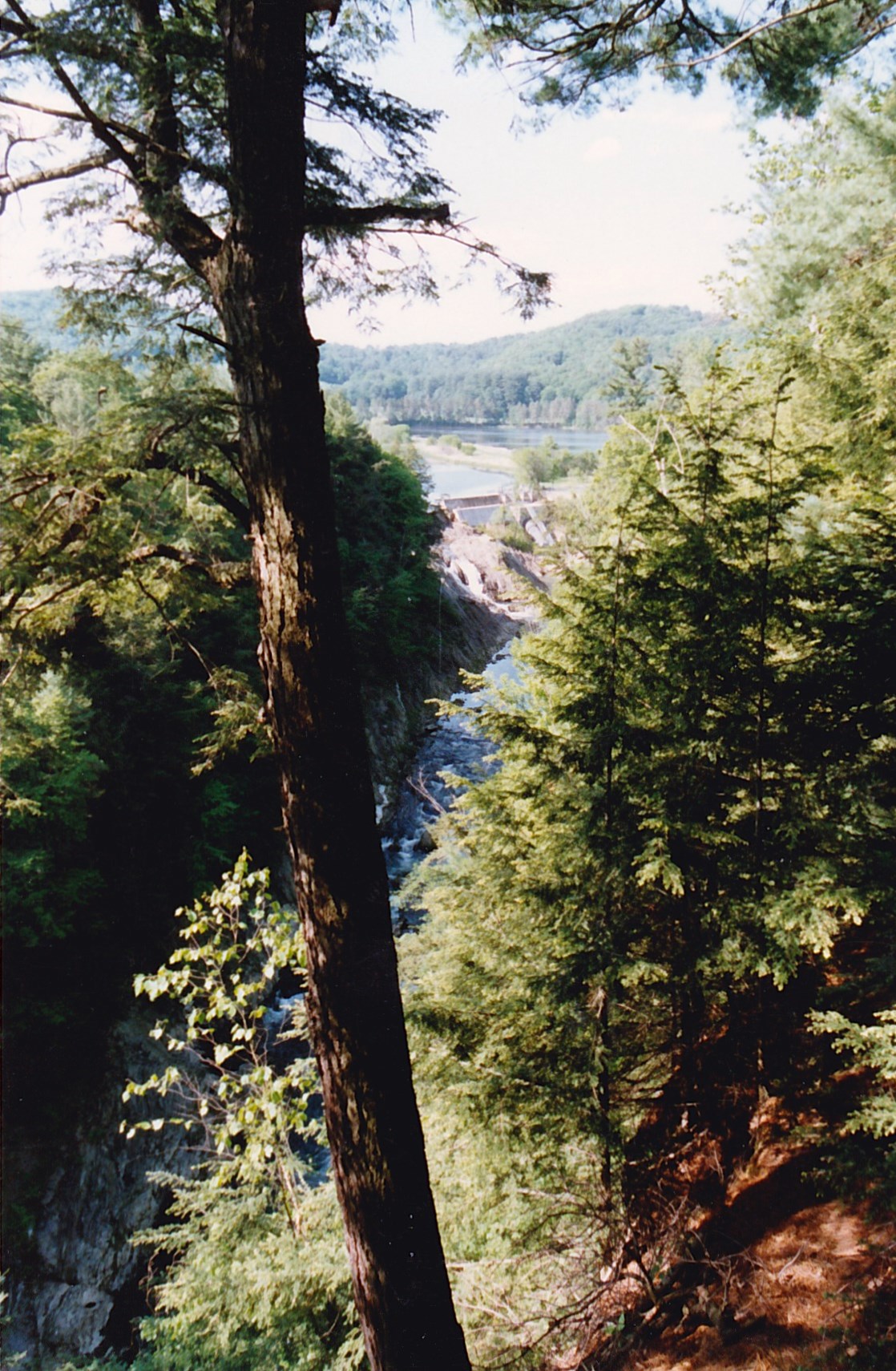 Vermont: Nature, Peace, and Incentives (image credits: wikimedia)