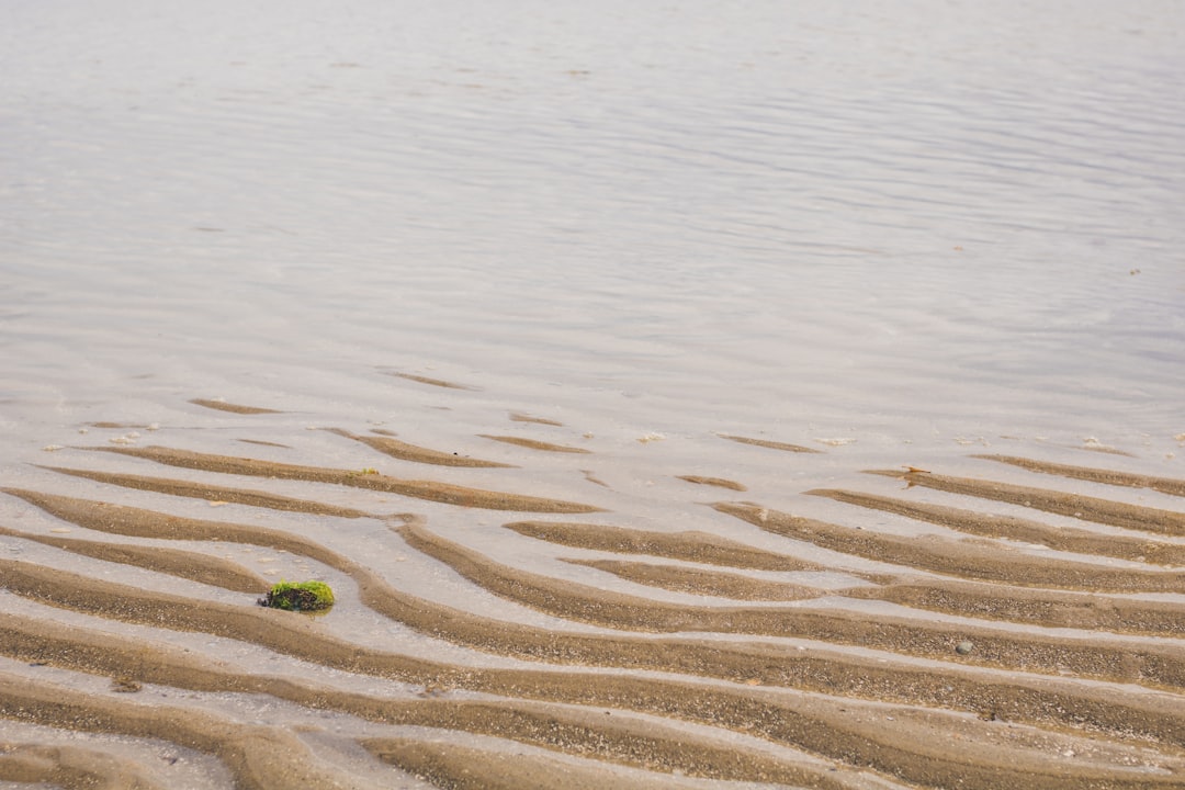 7. Brazil: A Safe Haven (image credits: unsplash)