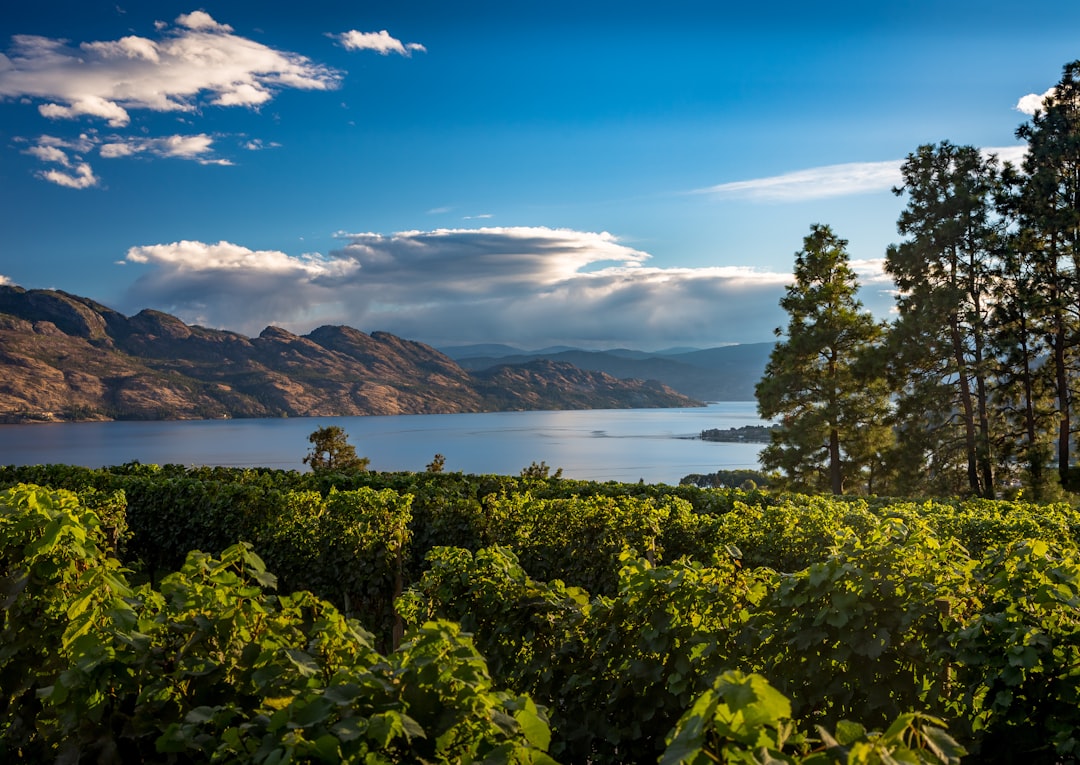 Kelowna, British Columbia (image credits: unsplash)