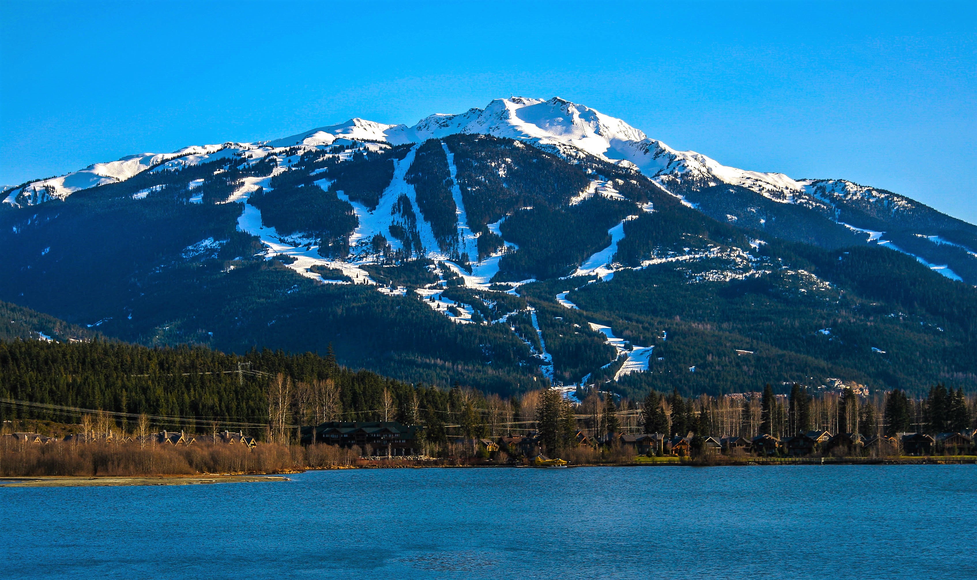 Whistler Always in Motion (image credits: wikimedia)