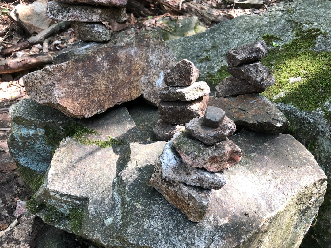 Taking Rocks or Plants is Theft (image credits: unsplash)