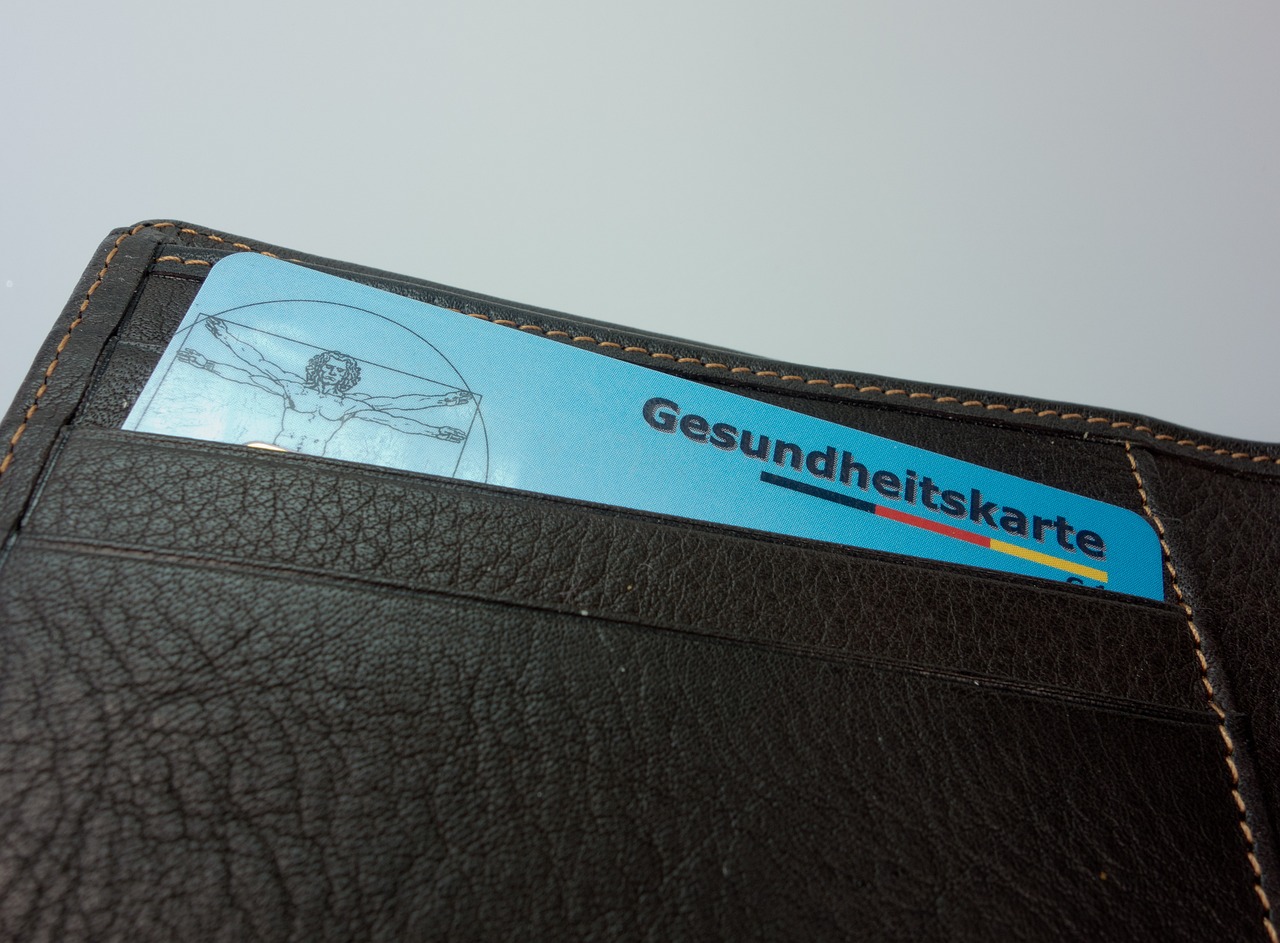Germany: Where Efficiency Meets Care (image credits: pixabay)
