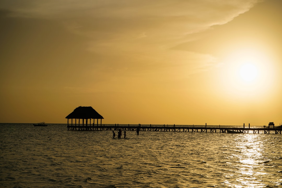 A Different Kind of Paradise (image credits: unsplash)