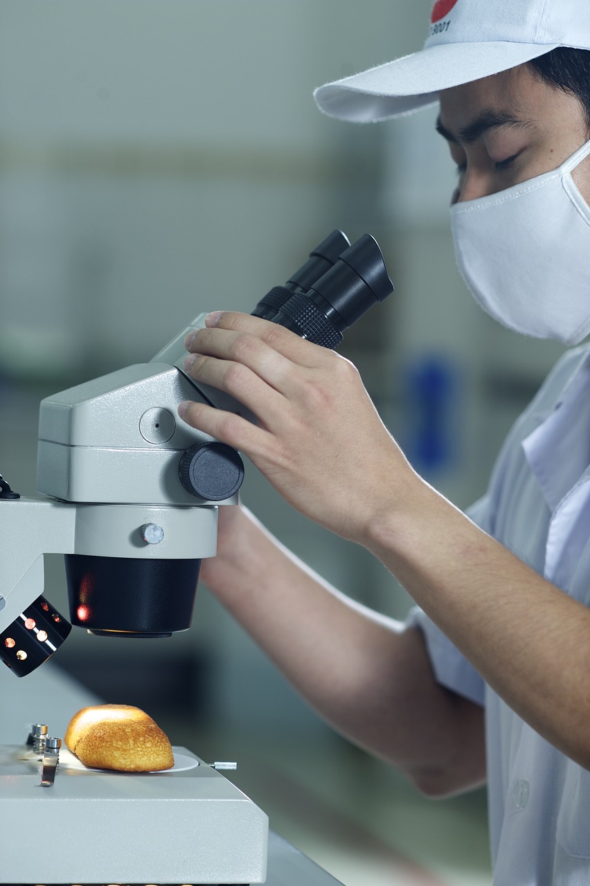 Health Concerns and Food Safety (image credits: pixabay)