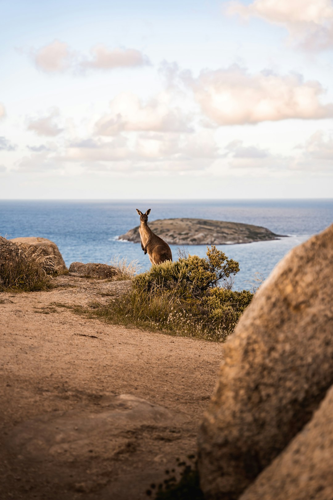 12. Kangaroo Island, Australia (image credits: unsplash)