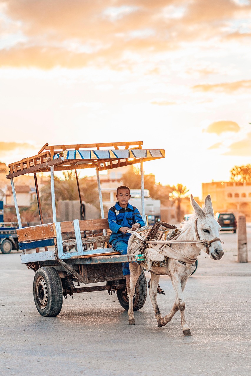 Embracing Local Culture (image credits: pixabay)