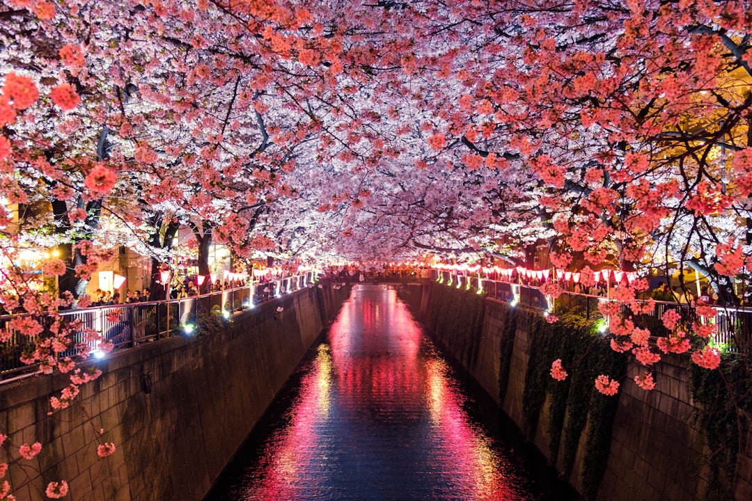 Japan (image credits: unsplash)