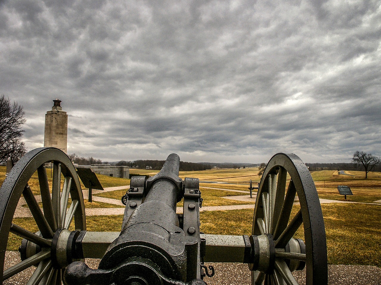 Politics and Patriotism Drive Travel Choices (image credits: pixabay)