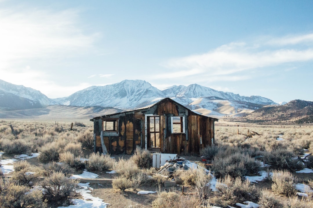Staying Safe Among the Ruins (image credits: unsplash)