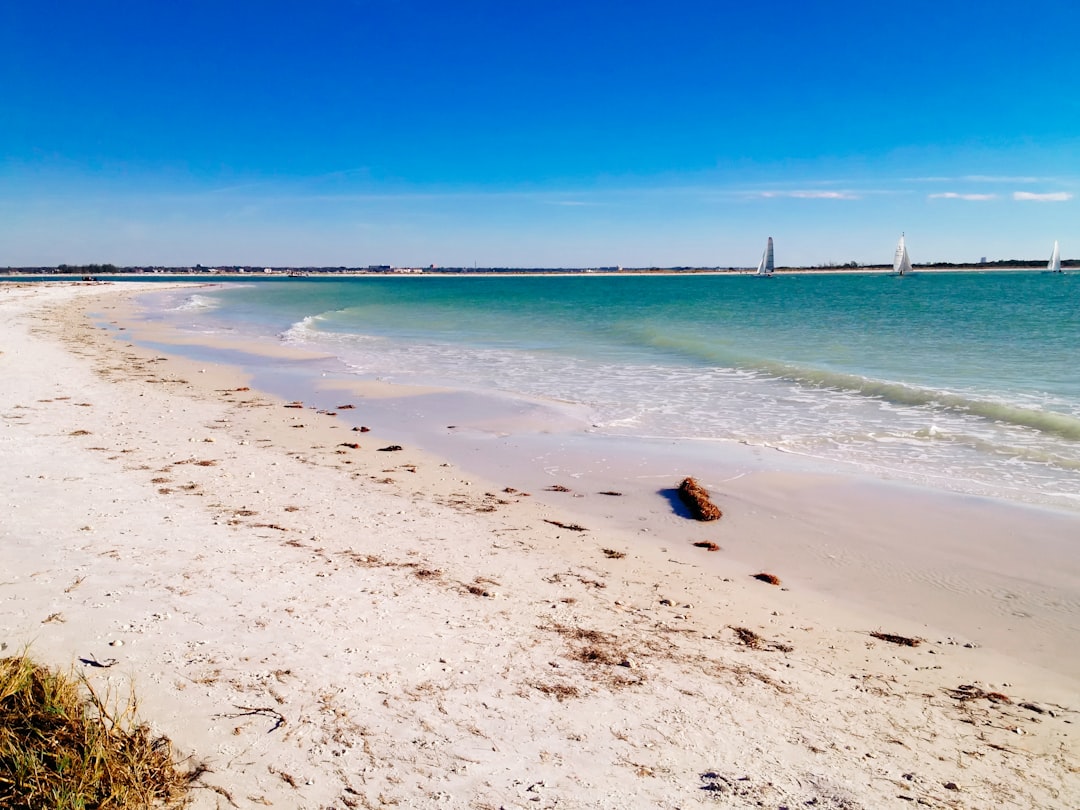 Florida: Sunshine Shadows (image credits: unsplash)
