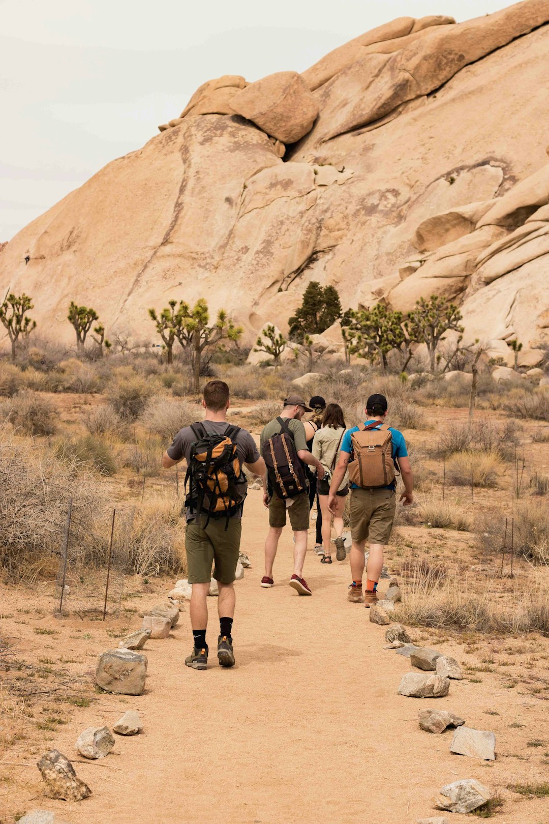 Ideal for Group Travel (image credits: unsplash)