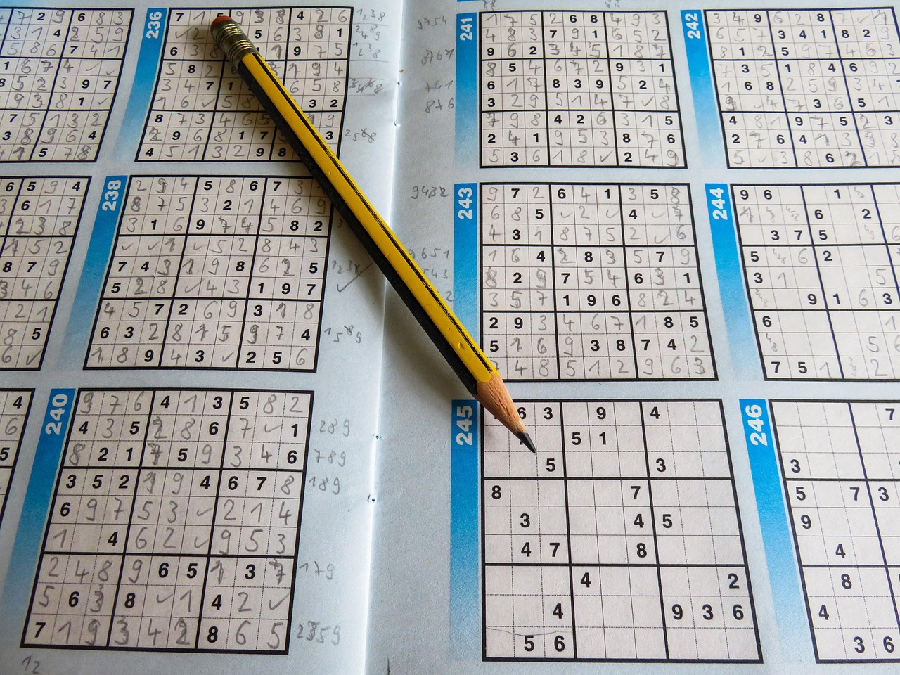 13. Sudoku and Number Puzzles - Mathematical Mindfulness (image credits: pixabay)