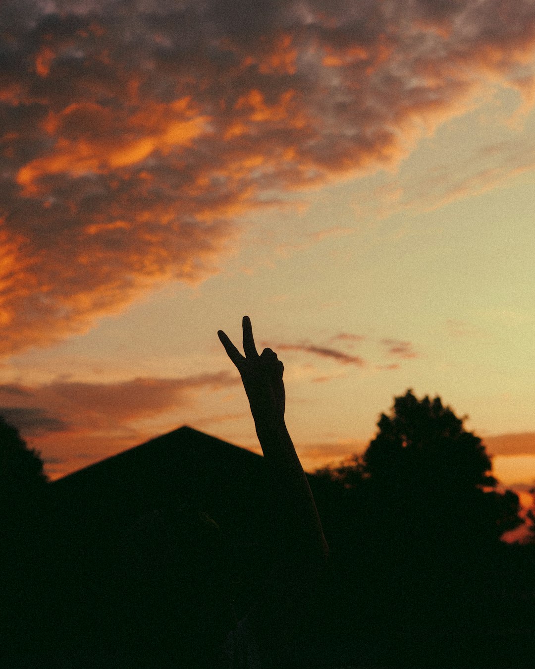 The Peace Sign That Screams Something Else (image credits: unsplash)