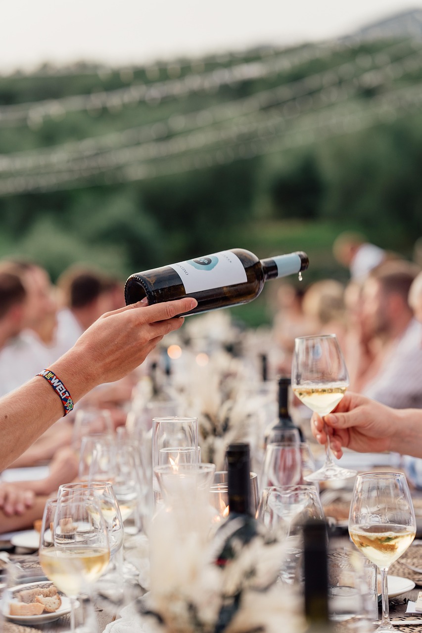 The Future of Georgian Wine (image credits: pixabay)