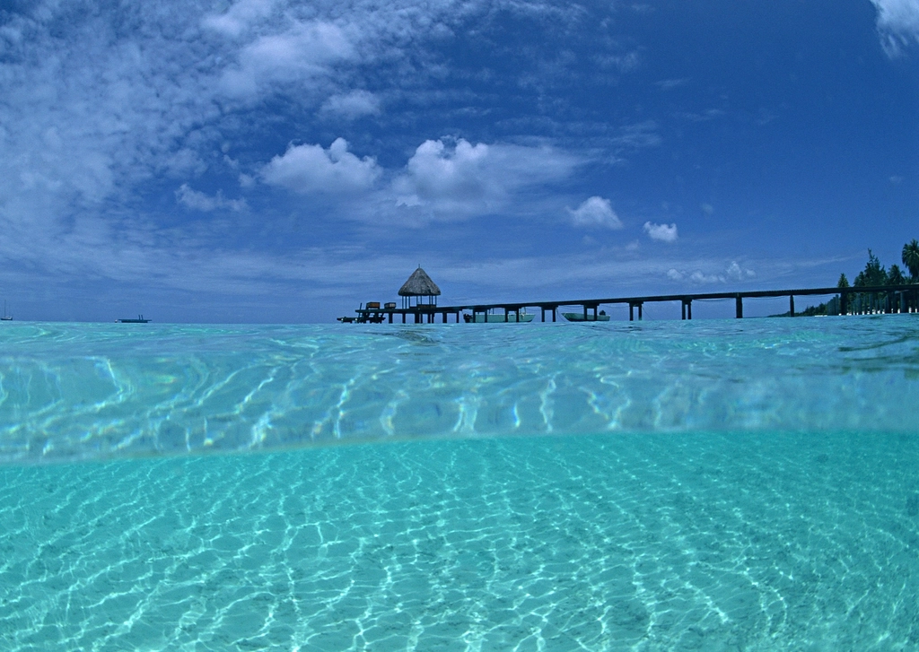 Maldives Paradise at a Breaking Point (image credits: rawpixel)