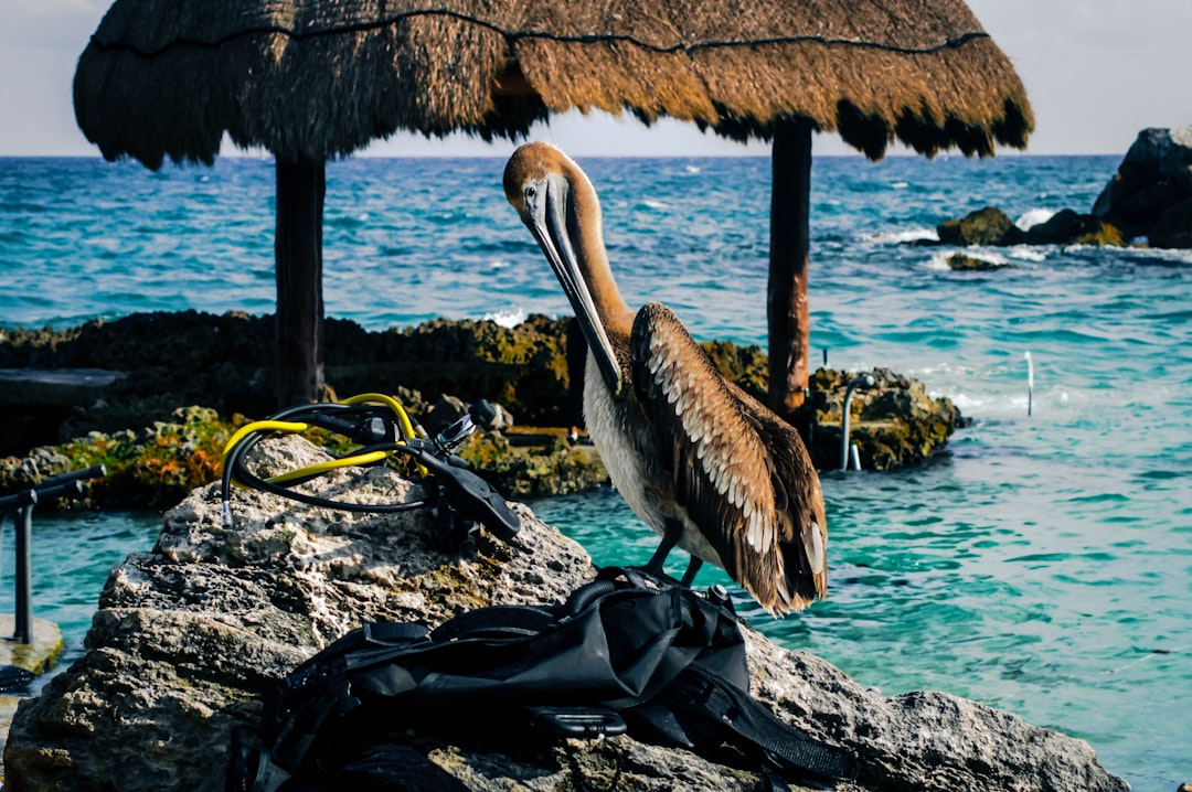When Paradise Starts to Feel Predictable (image credits: unsplash)