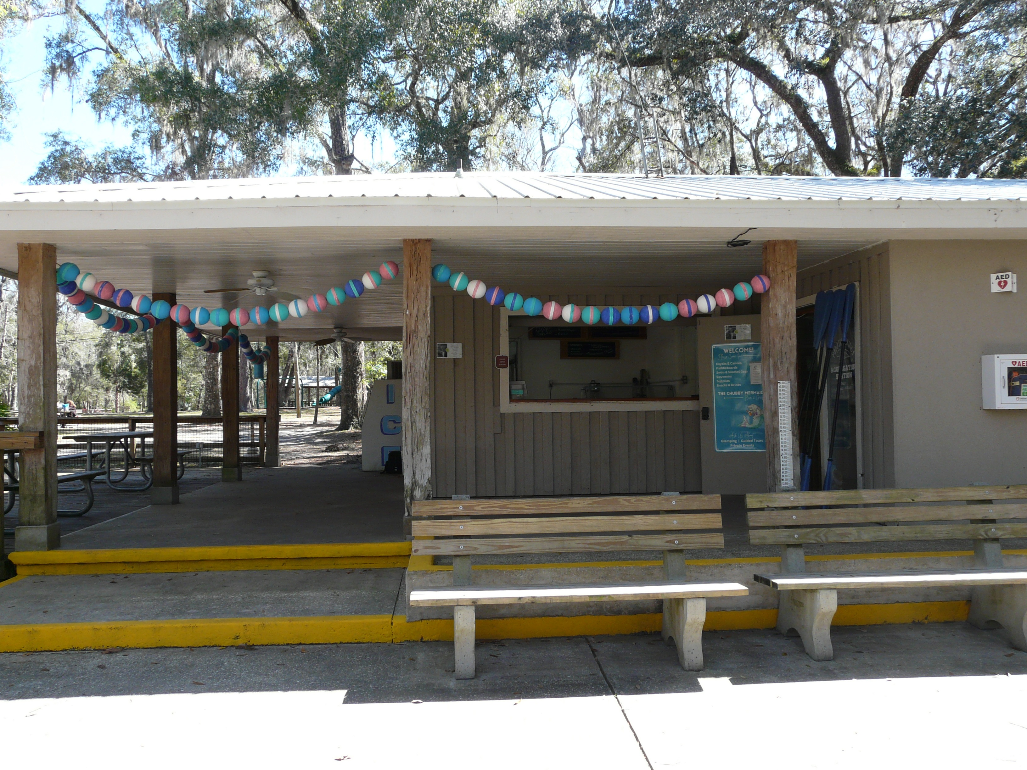 6. Weeki Wachee Springs – Mermaid Shows & Kayaking (image credits: wikimedia)