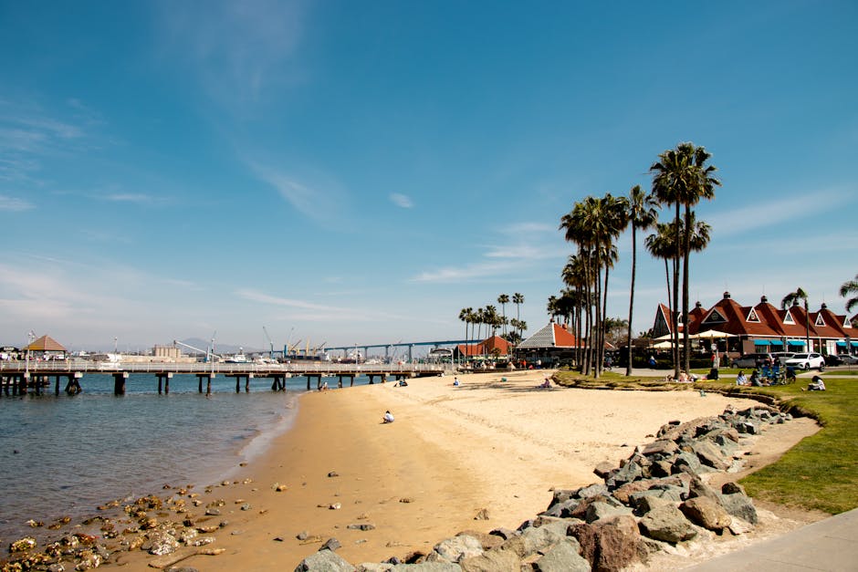 10. Coronado Beach, California - Royal Pollution (image credits: pexels)