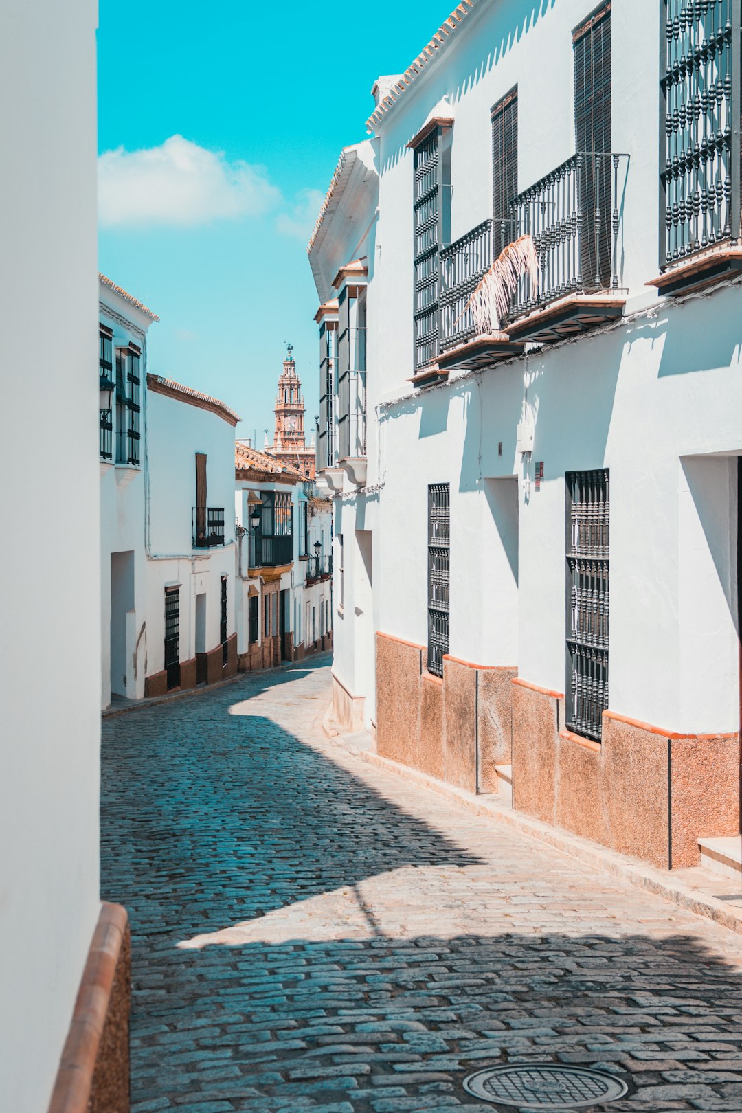 Government Response and Legislative Measures (image credits: unsplash)