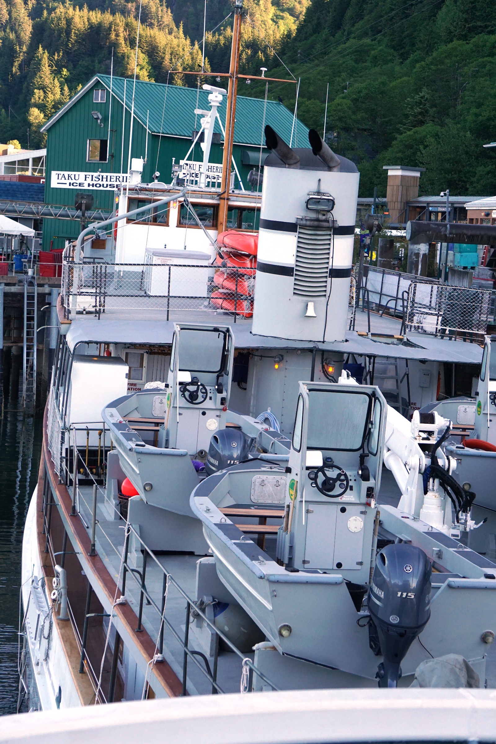 Eco-Friendly Innovations: Greener Ships on the Horizon (image credits: wikimedia)
