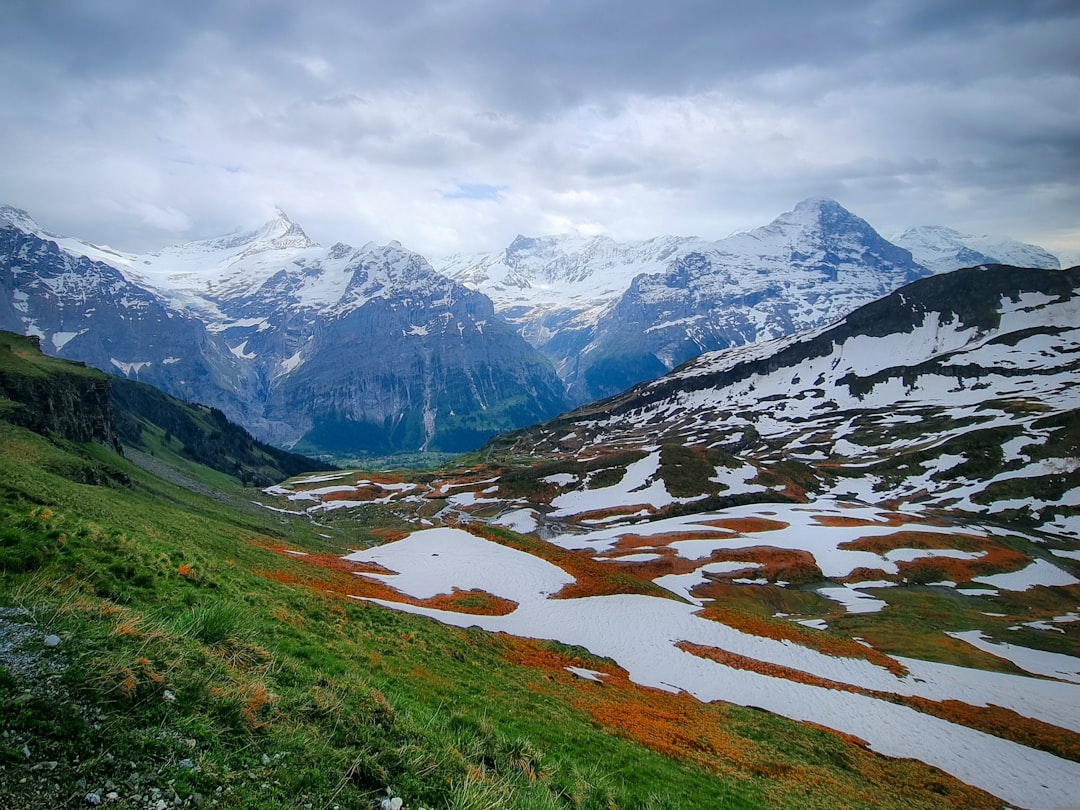 Switzerland: Wealth and Well-Being (image credits: unsplash)
