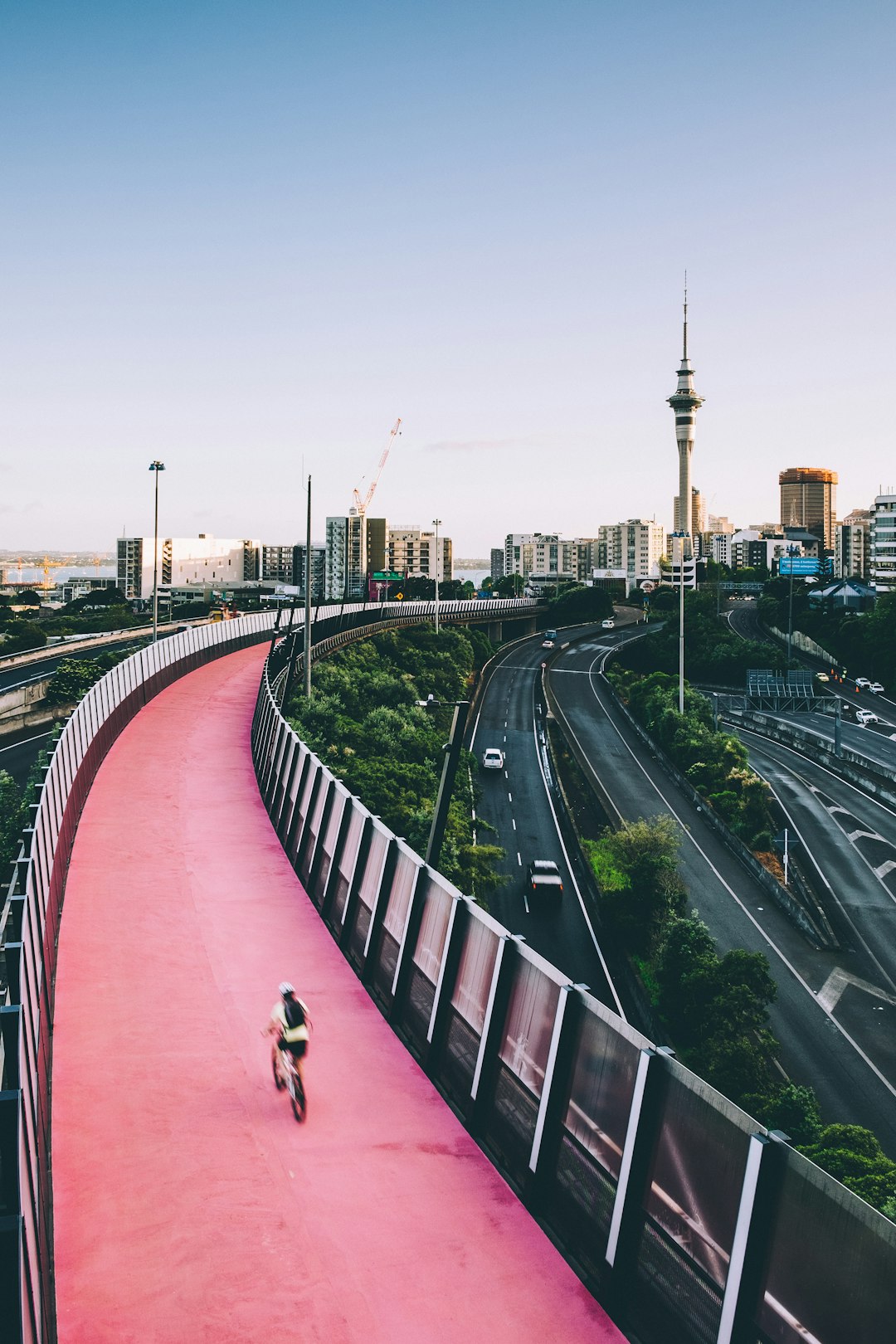 Auckland: Urban Paradise in the South Pacific (image credits: unsplash)
