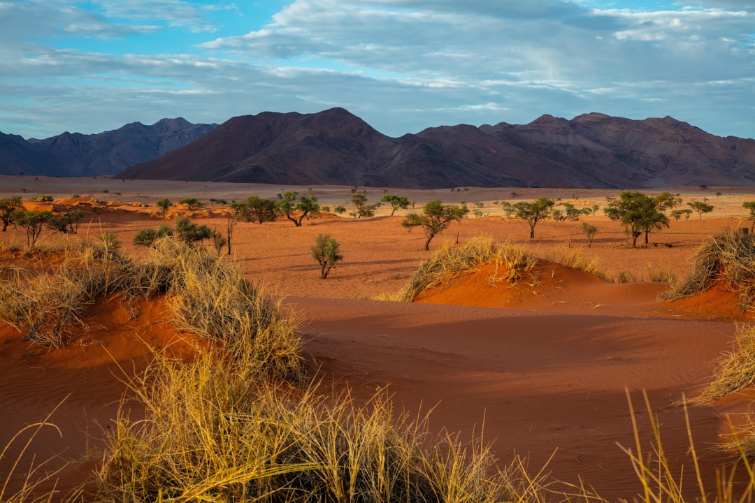 Namibia: Africa’s Desert Jewel (image credits: unsplash)
