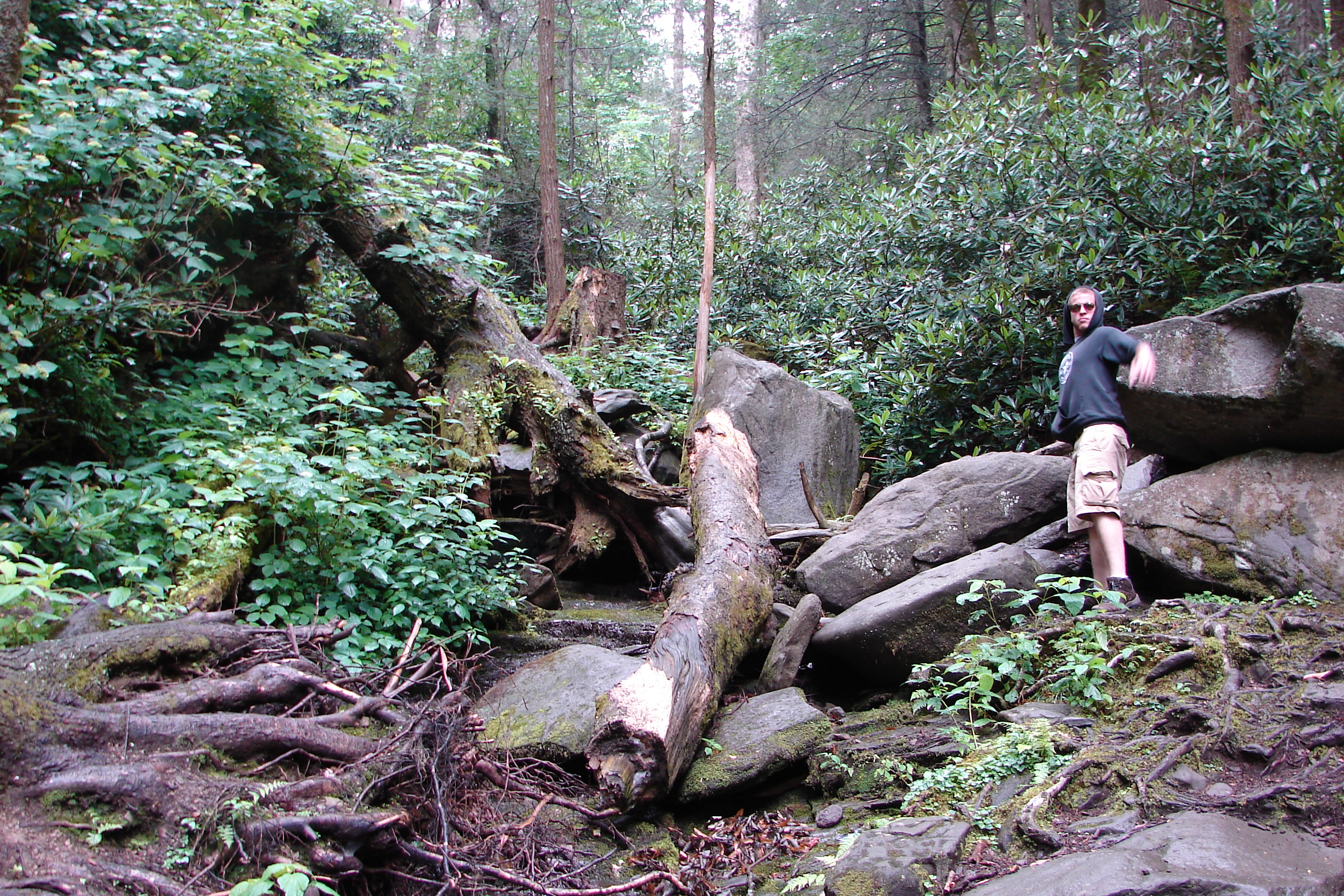 The Great Smoky Mountains National Park Trails, Tennessee/North Carolina (image credits: wikimedia)