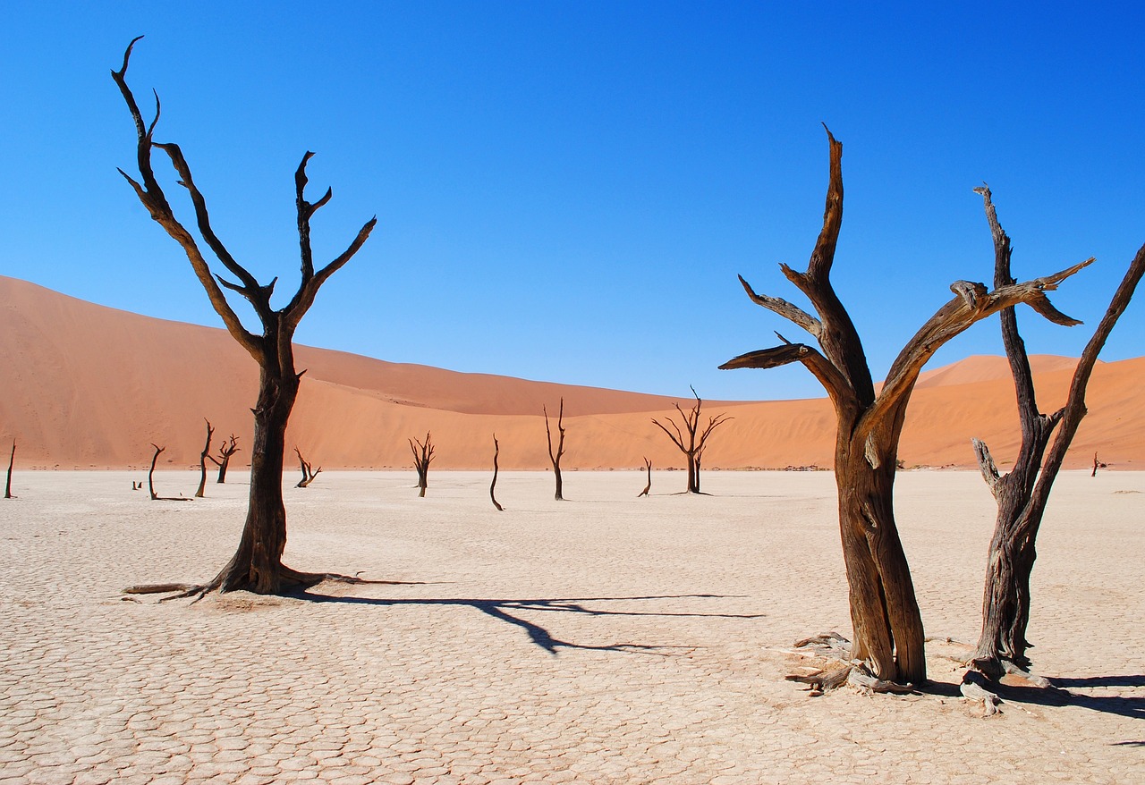 7. Namibia (Namib Desert) (image credits: pixabay)