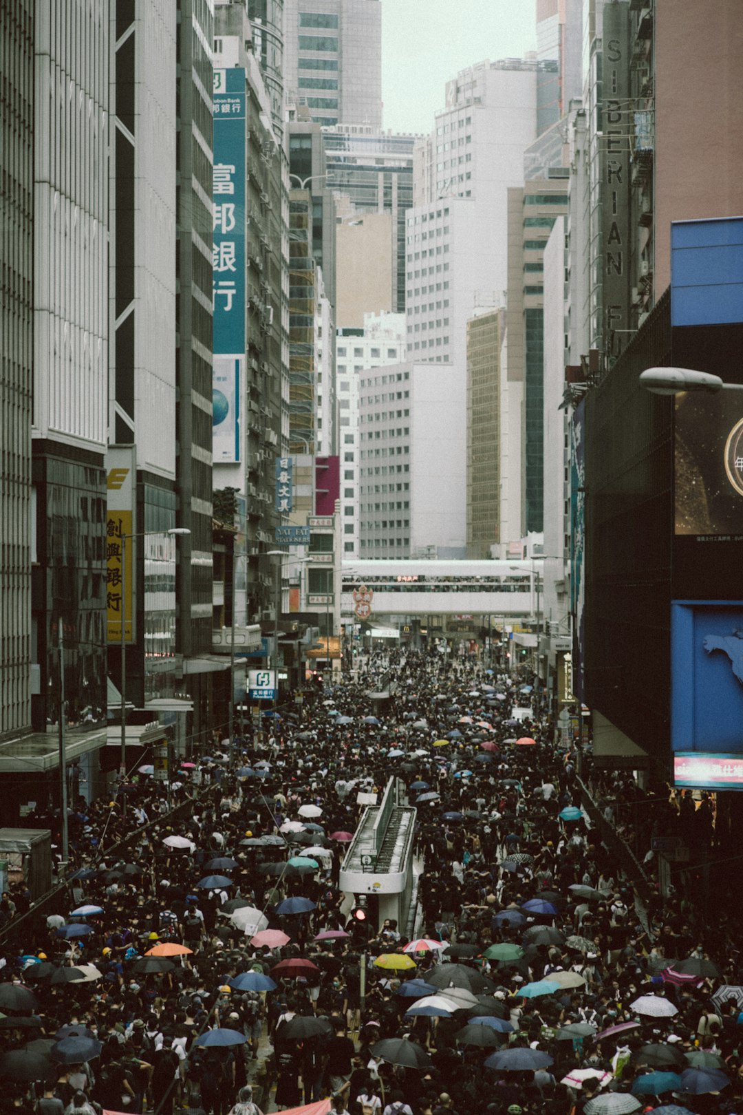 The Overwhelming Hustle and Bustle (image credits: unsplash)