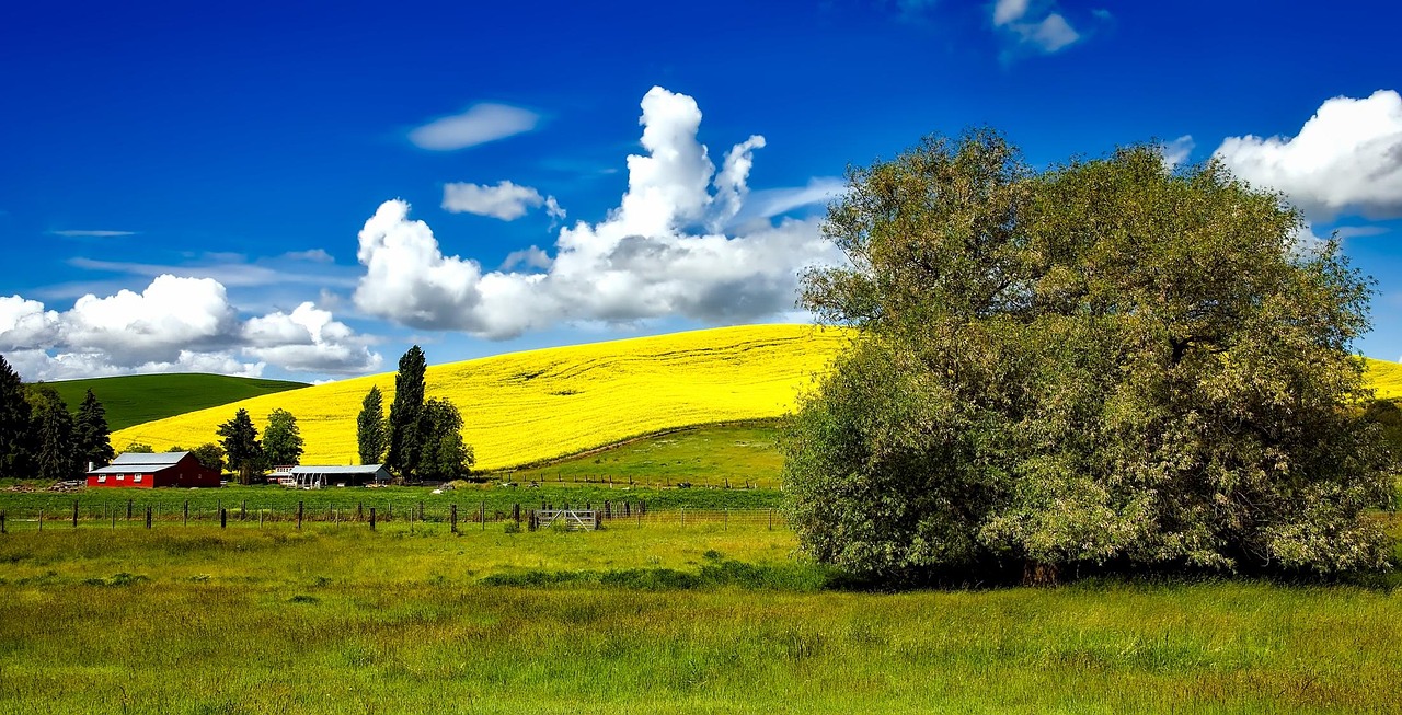 Idaho: A Paradise for Nature Lovers (image credits: pixabay)